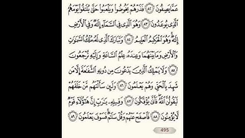 تلاوة مؤثرة من سورة الزخرف بصوت القارئ علي الناعم