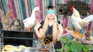 CAN I RECOGNIZE MY 100 PETS, BLINDFOLDED?? + meet my camerawoman