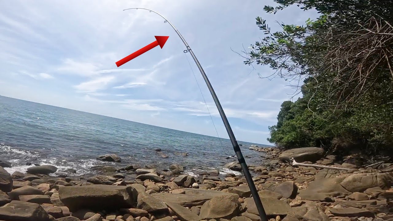 Teknik Surf Casting Jitu Tepi Pantai | Guna Jarum Umpan Target Ikan Besar‼️