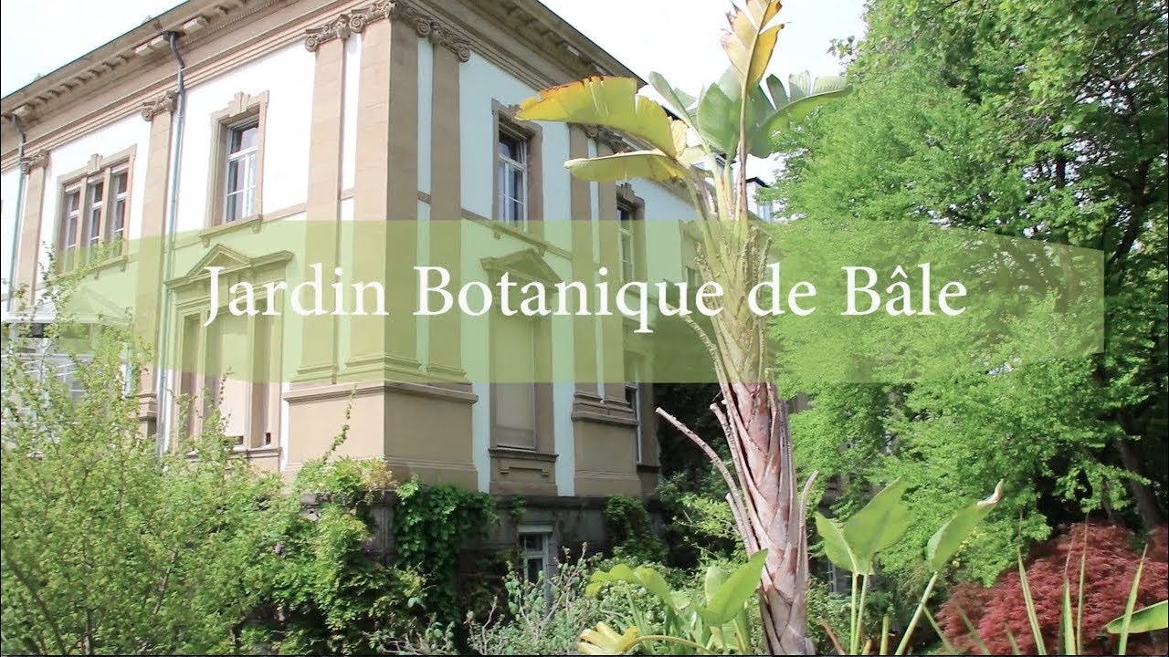 University to basel botanical garden