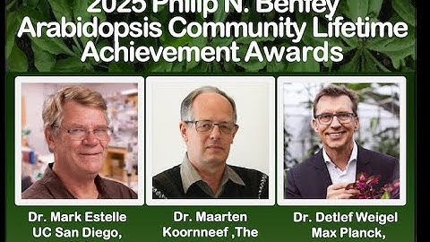 2025 PNBenfey Arabidopsis Lifetime Achievement Awards