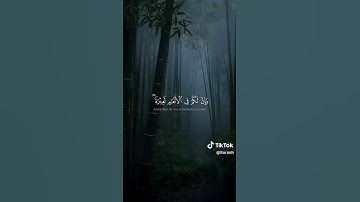 القارئ ياسر الدوسري #قرآن_كريم #راحة_نفسية #quran