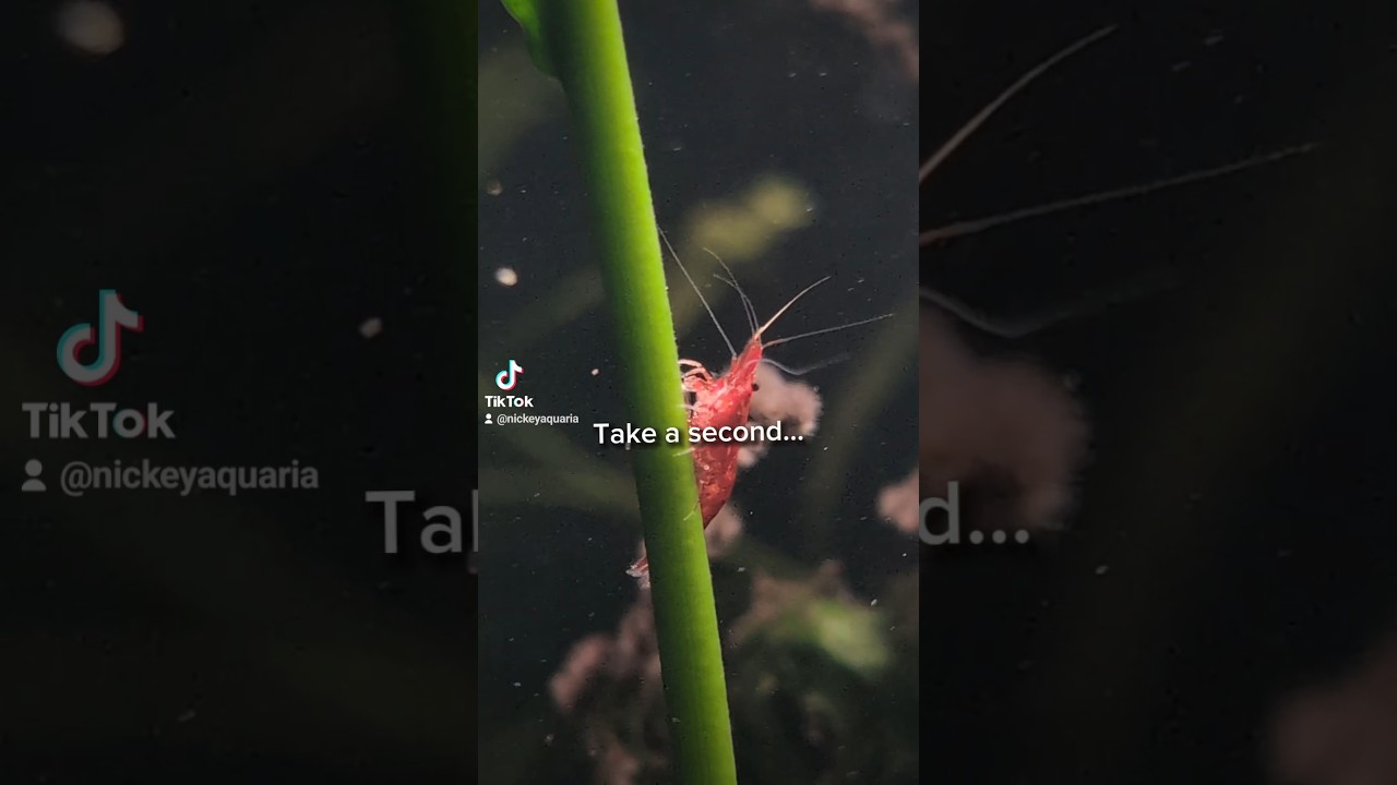 Soms moeten we een momentje genieten ♥️