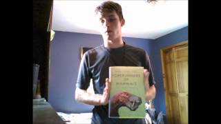 Synapsids And The Permian Mass Extinction