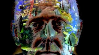 Human Aquarium Faces/Reveal - LumaFusion