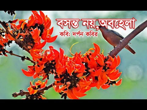 ভিডিও: রঙিন তির্যক