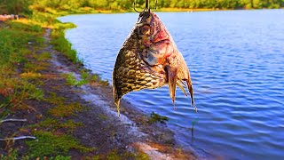 KILLER GAR BAIT! (and catfish too! subtitled in English)