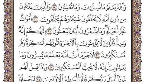 سورة النحل الشيخ ياسر الدوسري صفحة ٢٦٩