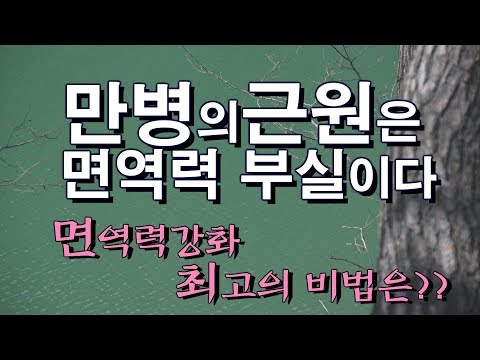 면역력에좋은음식