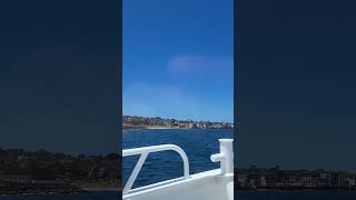 City Skyline of Monterey, California #montereycalifornia #city #skyline #pacificocean