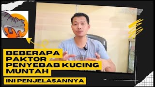 PENYEBAB KUCING MUNTAH DAN SOLUSINYA