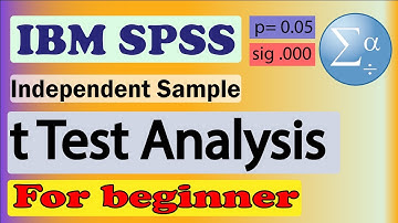 t Test SPSS ।। Hypothesis explanation ।। p value meaning