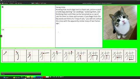 SuperMemo Templates: Creating Components