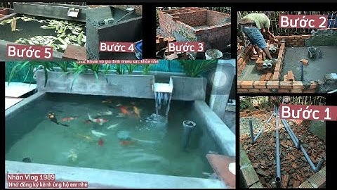 Hồ Cá Koi 3 Khối Đẹp - Chia Sẻ Cách Đi Hút Mặt Hút Đáy Hiệu Quả.Hồ Em Của Em Khum Ở Sóc Trăng.