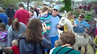 2012041501 Petting Zoo