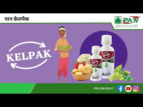 Pan KELPAK... ORGANIC PLANT GROWTH PROMOTER