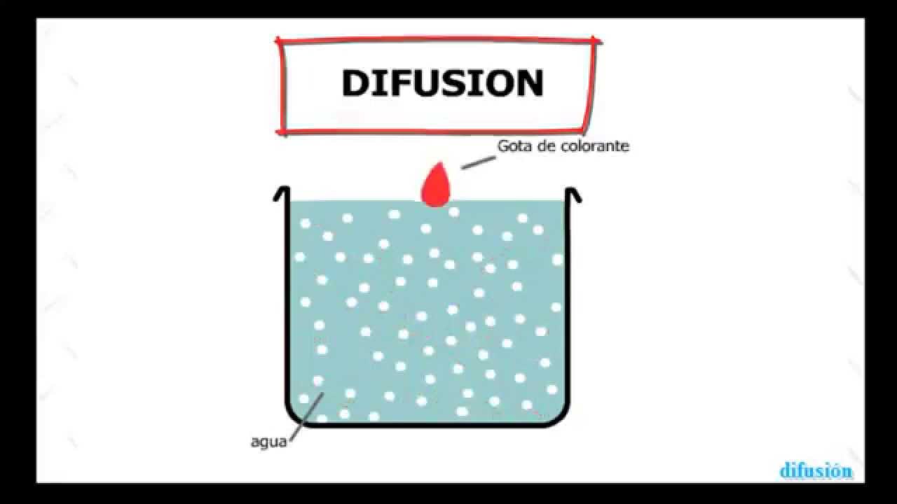 Difusión en física YouTube Difusión en física YouTube