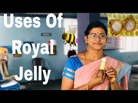 Uses Of Royal Jelly | Bee Keeping | VIBIS HONEY |