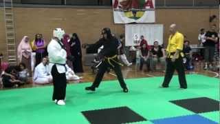 FFMAC Extreme Demo Team Matt Greatest Hits Vol 1.mp4