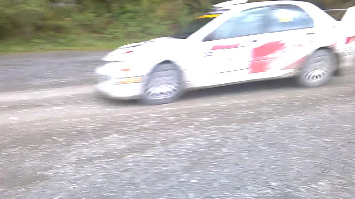 Plains Rally 2017: Pat Naylor & Ian Lawrence: Stag...
