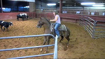 Groove - 10-5-11 sorting 1 - Valley View Ranch