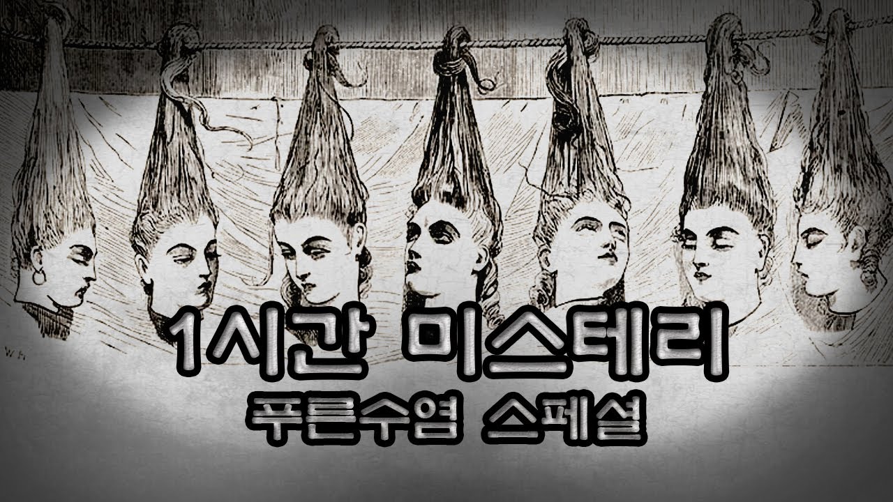 꿈나라 멀티버스로 여행하는 1시간 미스테리 푸른수염 스페셜