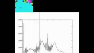 Potts Model Phase Transition #2