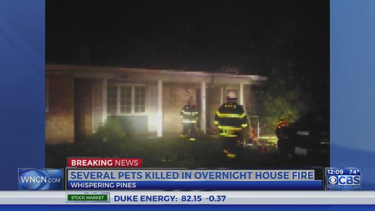 Pets killed in overnight fire - YouTube