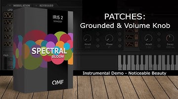 Spectral Bloom For Iris 2 - Noticeable Beauty