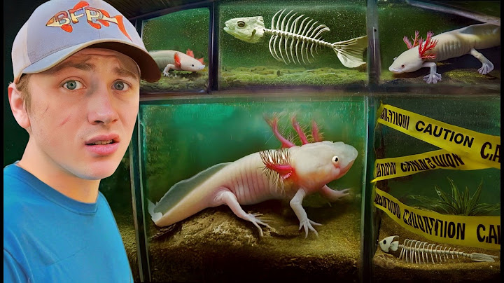 I Found an Abandoned Axolotl Farm