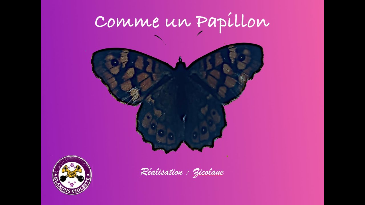 Comme un Papillon - YouTube