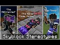 Types of skyblock players  hypixel skyblock stereotypes 2