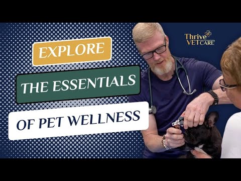 Exploring the Essentials of Pet Wellness Airdrie Vet, Thrive Vet Care by Thrive Vet Care