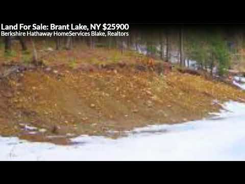86 Woodridge Drive, Brant Lake, NY home video tour