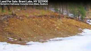 Jeffrey & Pamela York Team: 86 Woodridge Drive Brant Lake NY 12815