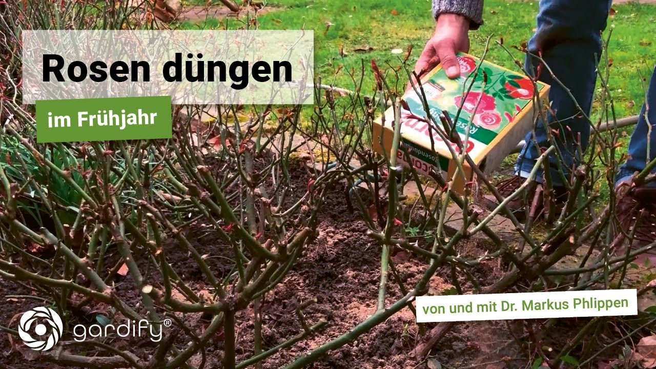 cannabis-dünger selber machen Homegrow24 Duo Cannabis Dünger – Grow & Bloom kaufen main image 0
