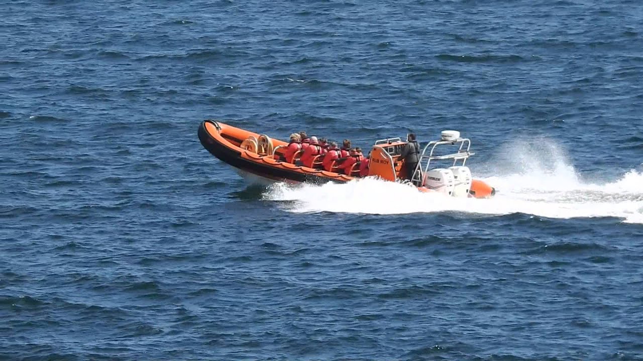 camera iphone 8 plus apk Boat trip.