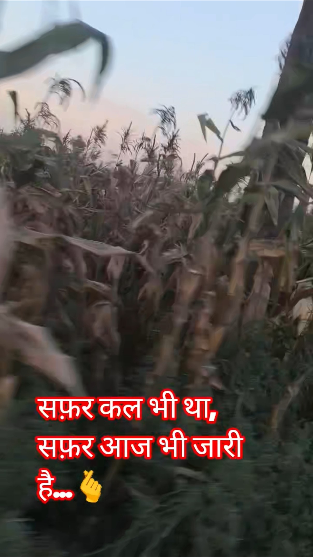 🎥व्लॉगस आपके लिए🔥 - ShareChat