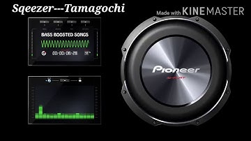 Sqeezer--Tamagochi