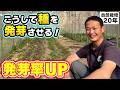 【自然栽培425】発芽率のやり方！お知らせ！数限定です