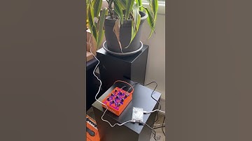 Plants CAN Play Music!