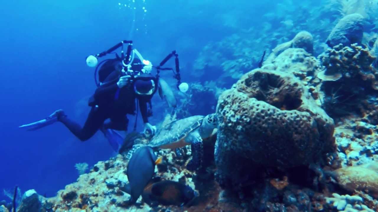 Replay XD1080 Waterproof Case DeepDive 197 + Surf Mount = Diving