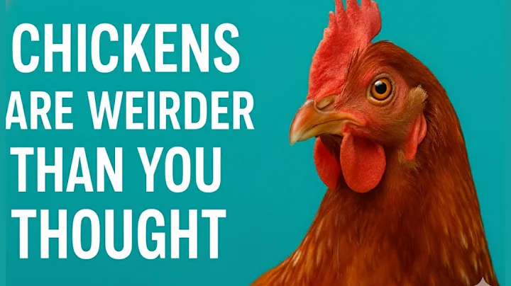 Chickens Are Weirder Than You Thought