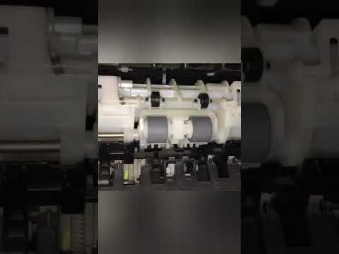 Printer won't feed paper fixed #shorts