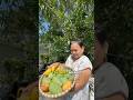 What’s your favorite mango of all time? Or name your top 3! #mango #mangolover #harvest #gardening