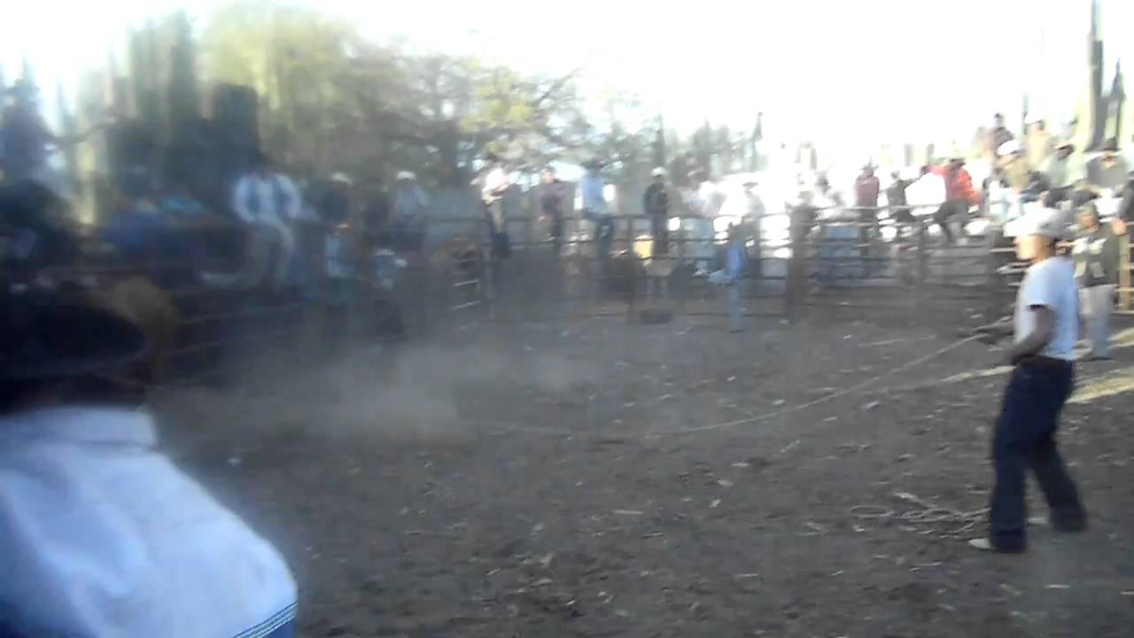 Jaripeo en La Blanca, Zacatecas 1/1/2011 YouTube