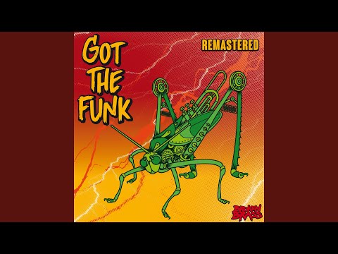 Got The Funk (remastered)