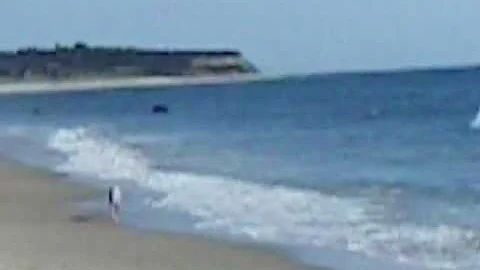 Nike Whippet fetching a ball in Block Island