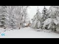 Winter Snow Walk in Countryside after Snow Storm Winter Ambient Scenes Snow Squeaking Sound
