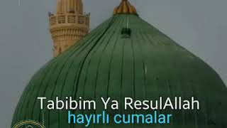 Habim ya habi allah